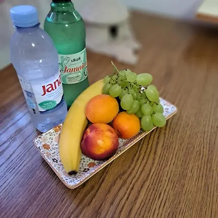 Olivera 公寓 罗维尼